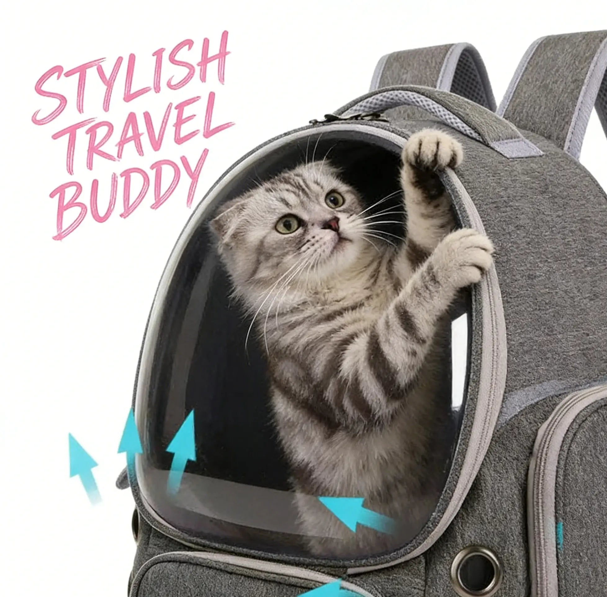 Breathable 360° View Cat Backpack Carrier for Cats, Gray Space Capsule