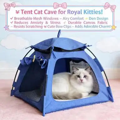 Tent-Style Cat Bed: Cozy Hideaway, Mesh Design, Foldable (Blue)