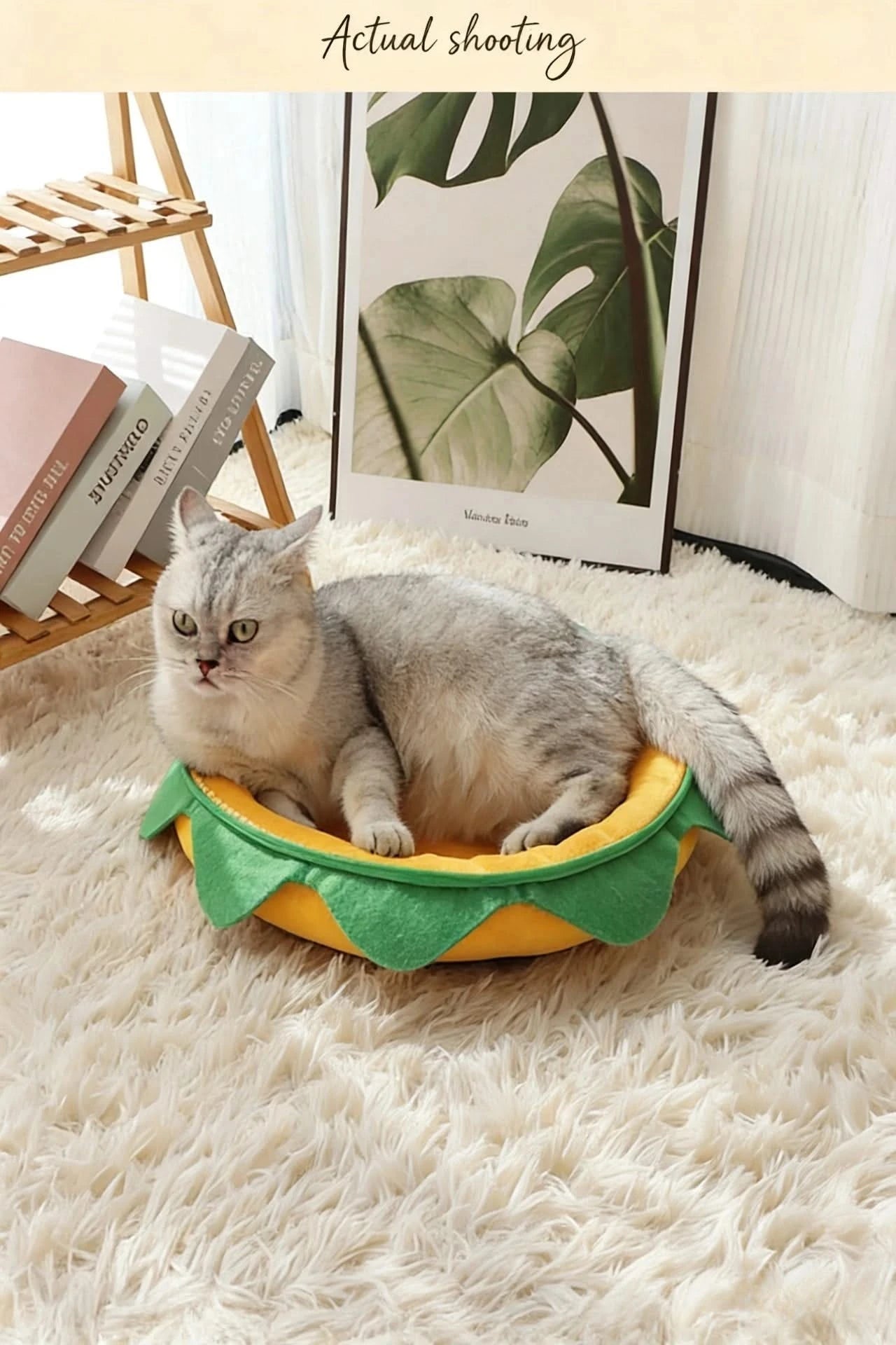  Fun Pet Bed for Cats, Burger Shape, Soft Fabric,  Food Themed, All-Season