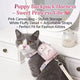 Escape-Proof Cat Harness & Leash: Puppy Backpack Design, Padded Fabric