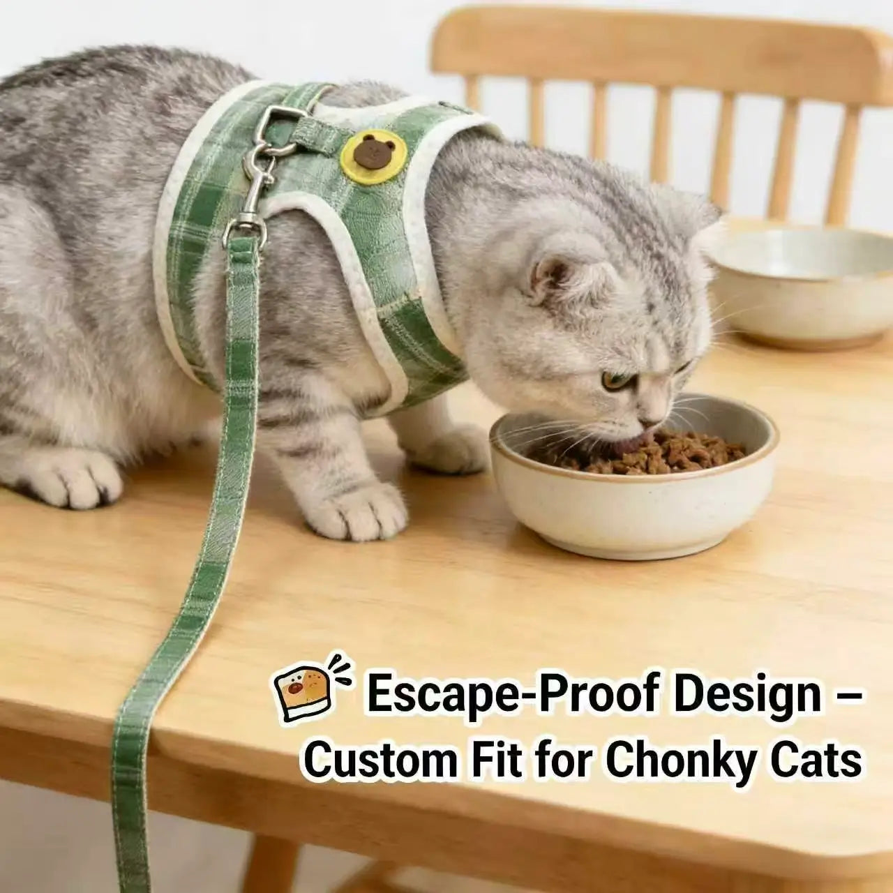 Escape-Proof Cat Harness & Leash: Frog Accent, Plaid Fabric