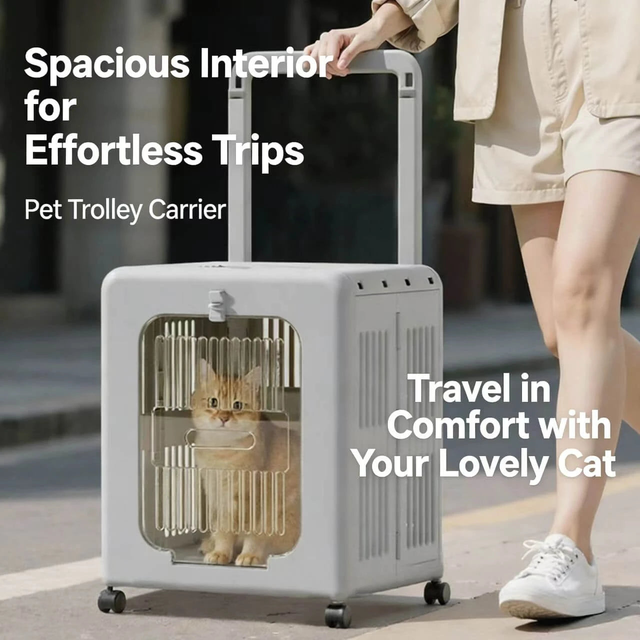 Rolling Pet Travel Carrier - Wheeled, Ventilated, White & Gold