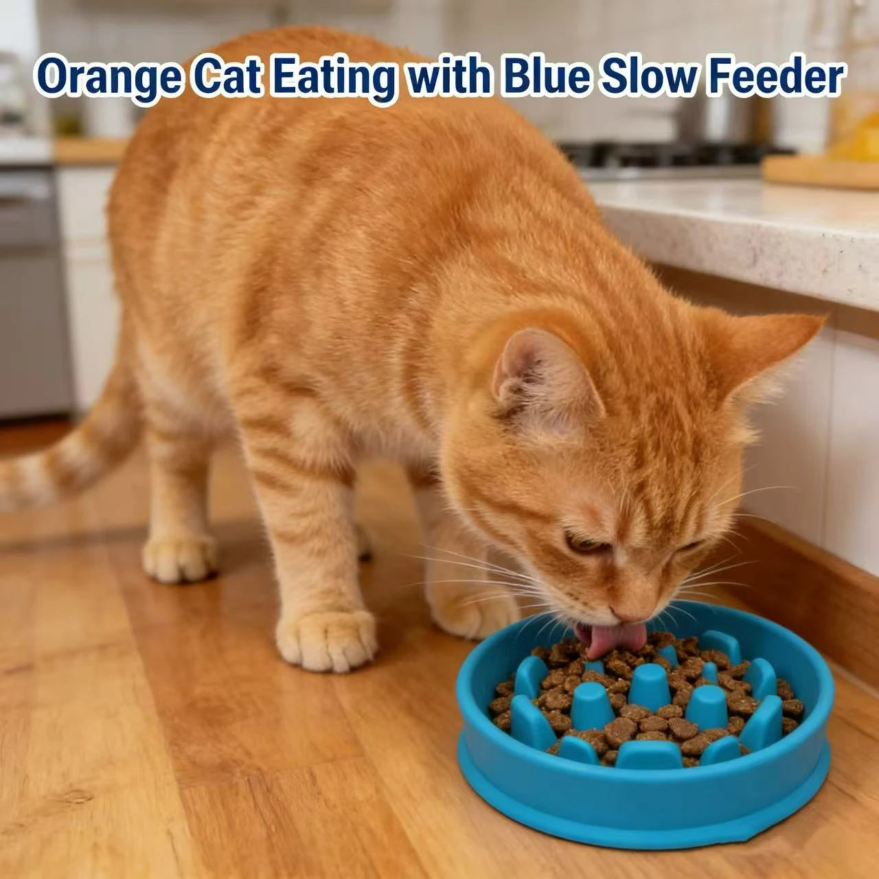 Slow-Feeding Cat Bowl for Cats - Silicone Protrusion Design Multi-Color