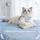 Stylish Escape-Proof Cat Harness & Leash: Gradient Color, Adjustable Fit