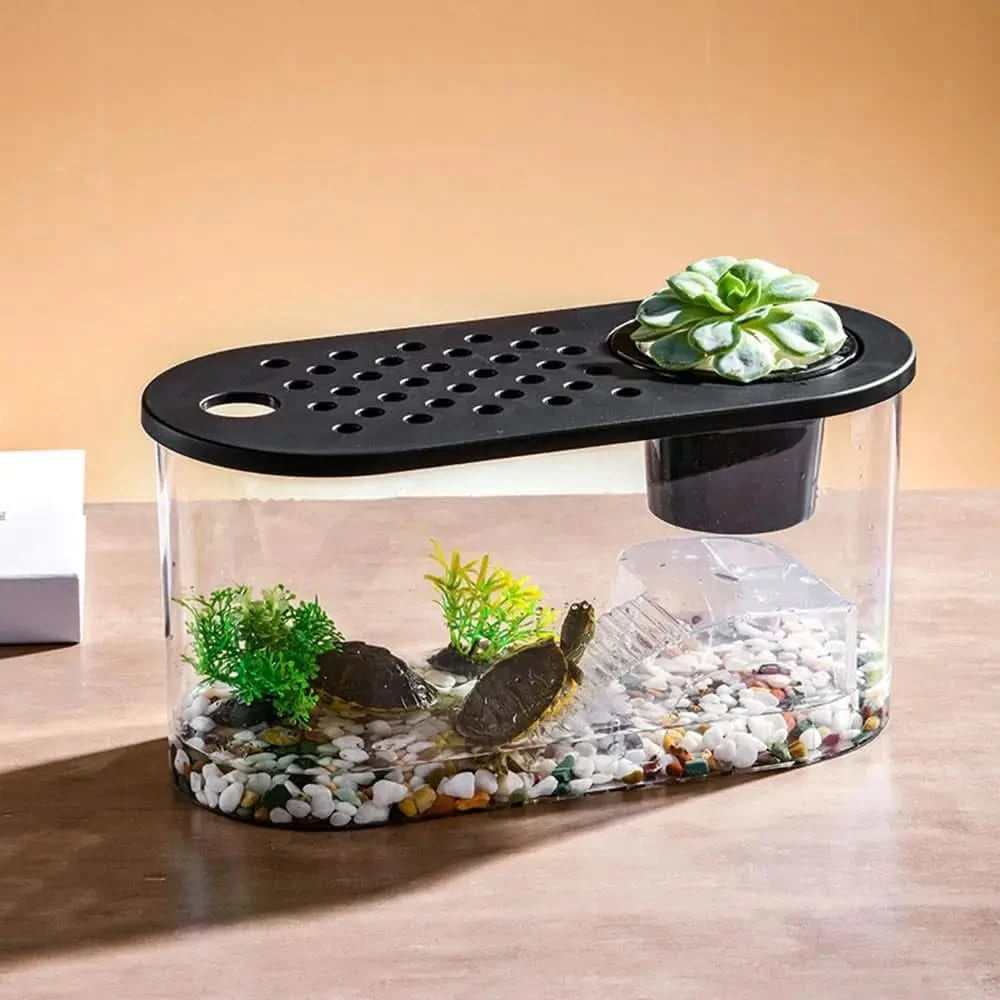 Complete Small Turtle Tank Kit: Reptile Aquarium, Basking Platform, Decor, Grass