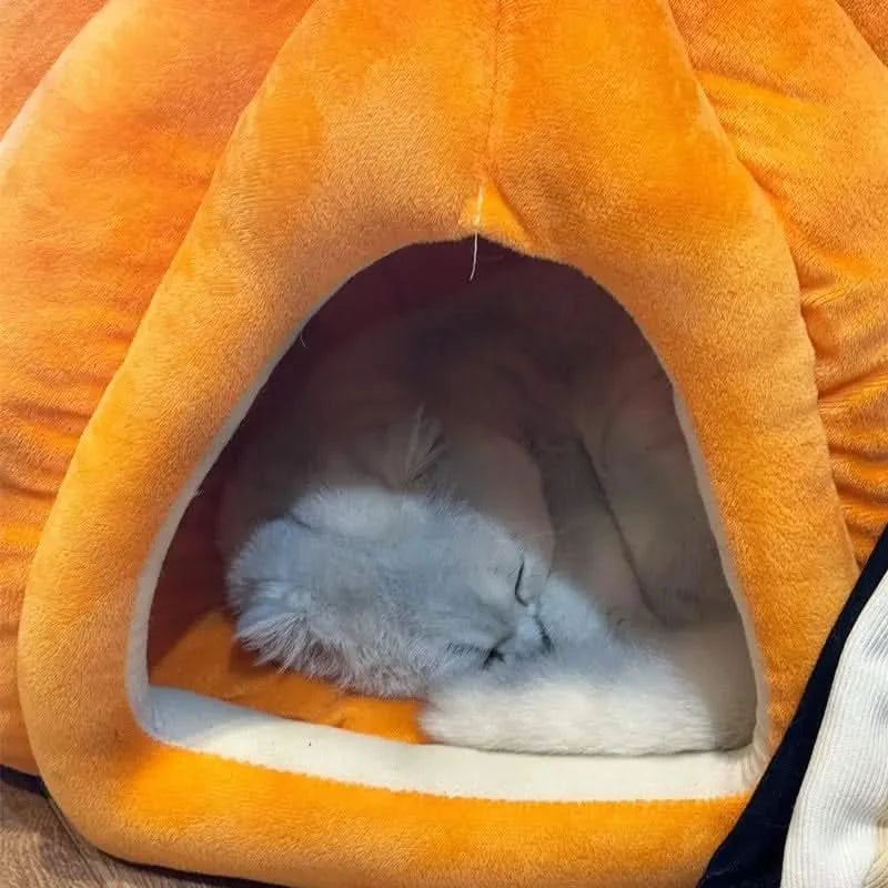 Cozy Pumpkin Cat Cave Bed for Indoor Cats & Small Dogs, Plush Warm Removable Cushion