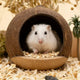 Hide & Rest Hamster Nest for Hamsters - Realistic Coconut Shell Texture Durable Brown Material