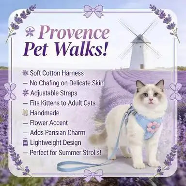 Escape-Proof Cat Harness & Leash: Adjustable Fit, Floral Accent (Blue-Pink)