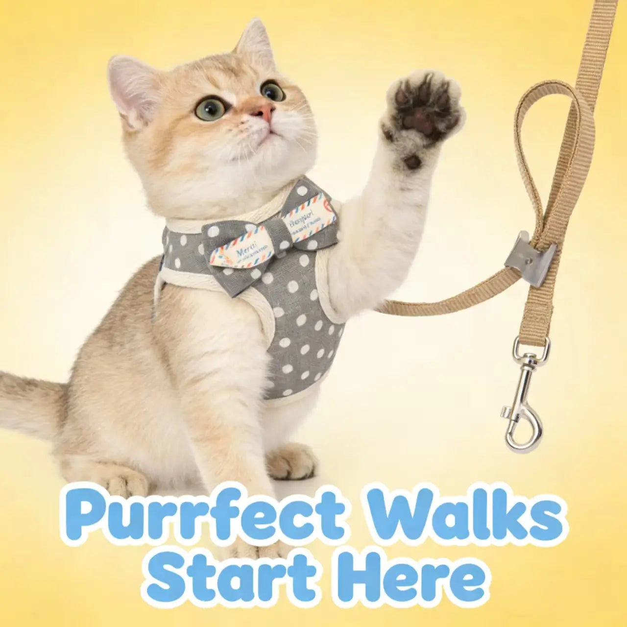 Escape-Proof Cat Harness & Leash: Polka Dot Print & Bow Accent