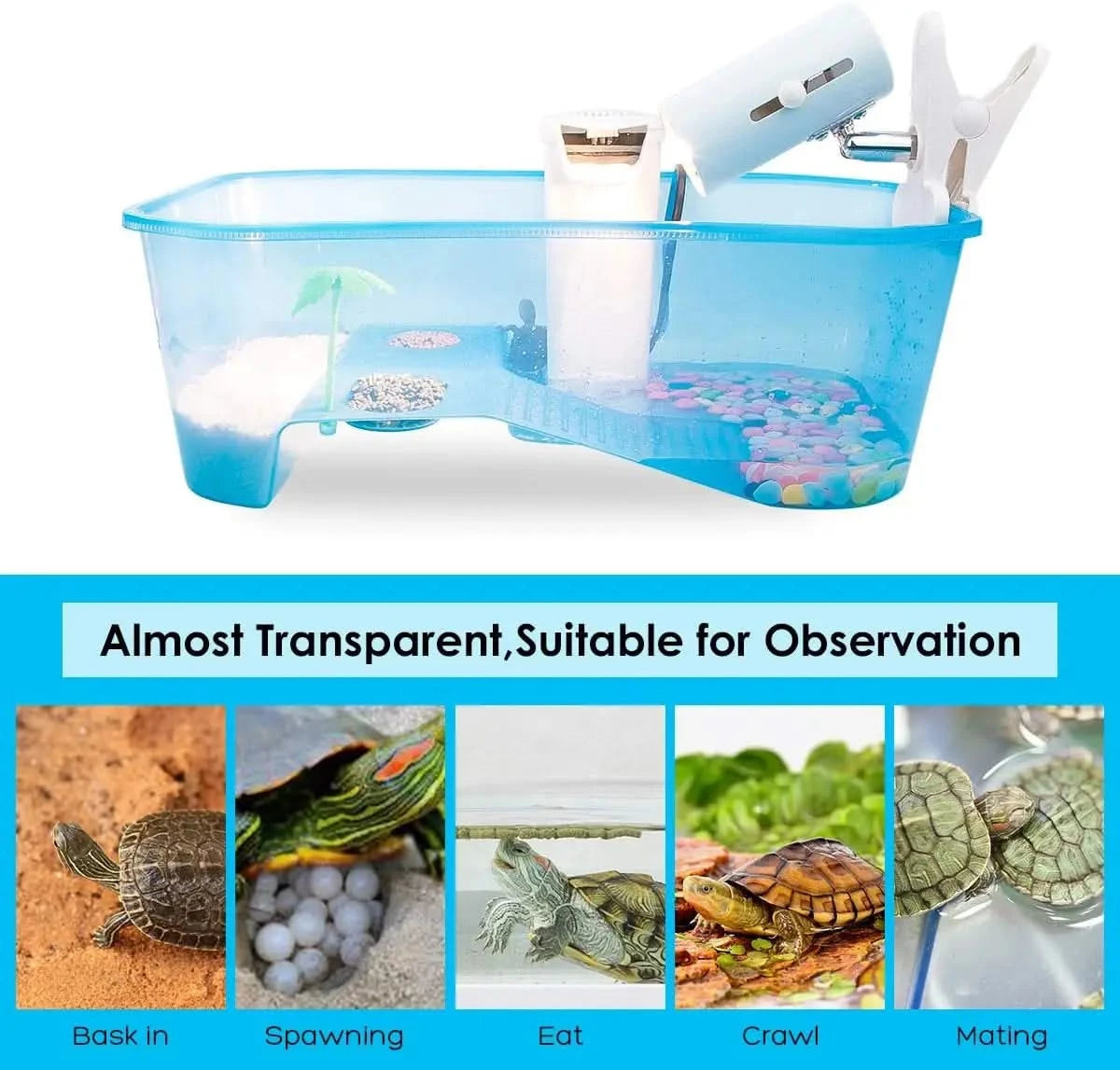 Geegoods Small Turtle Tank Aquarium: Multi-Zone Reptile Habitat with Basking Platform