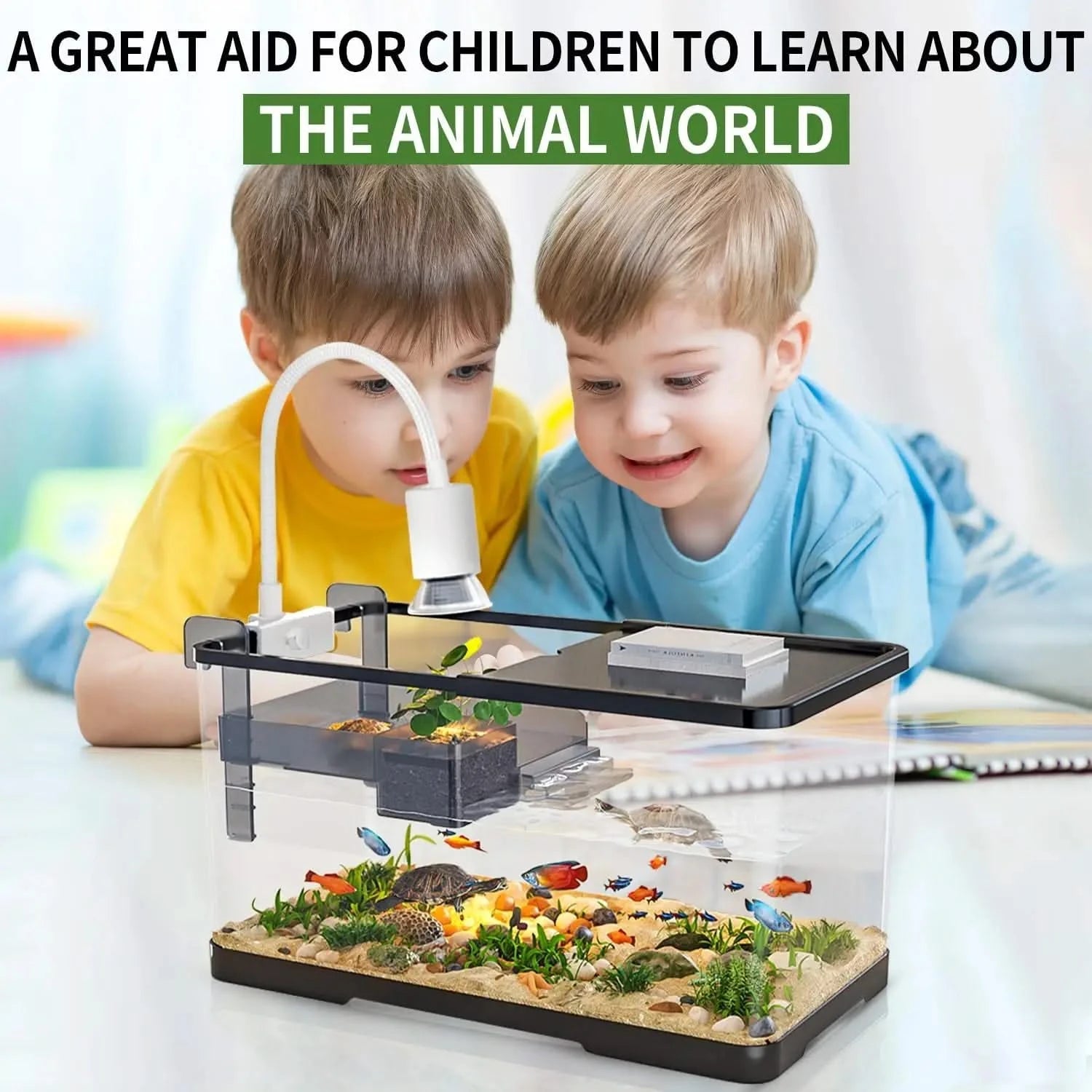 Superior Acrylic Turtle Tank Starter Kit: Light, Filter, Drainage, Multi-Function Reptile Habitat