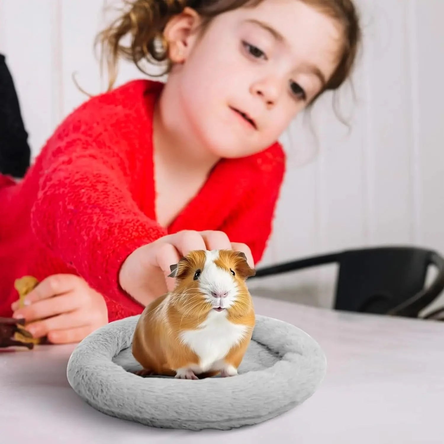 FEBSNOW Cozy Soft Washable Small Pet Bed for Guinea Pig Hamster Hedgehog Squirrel