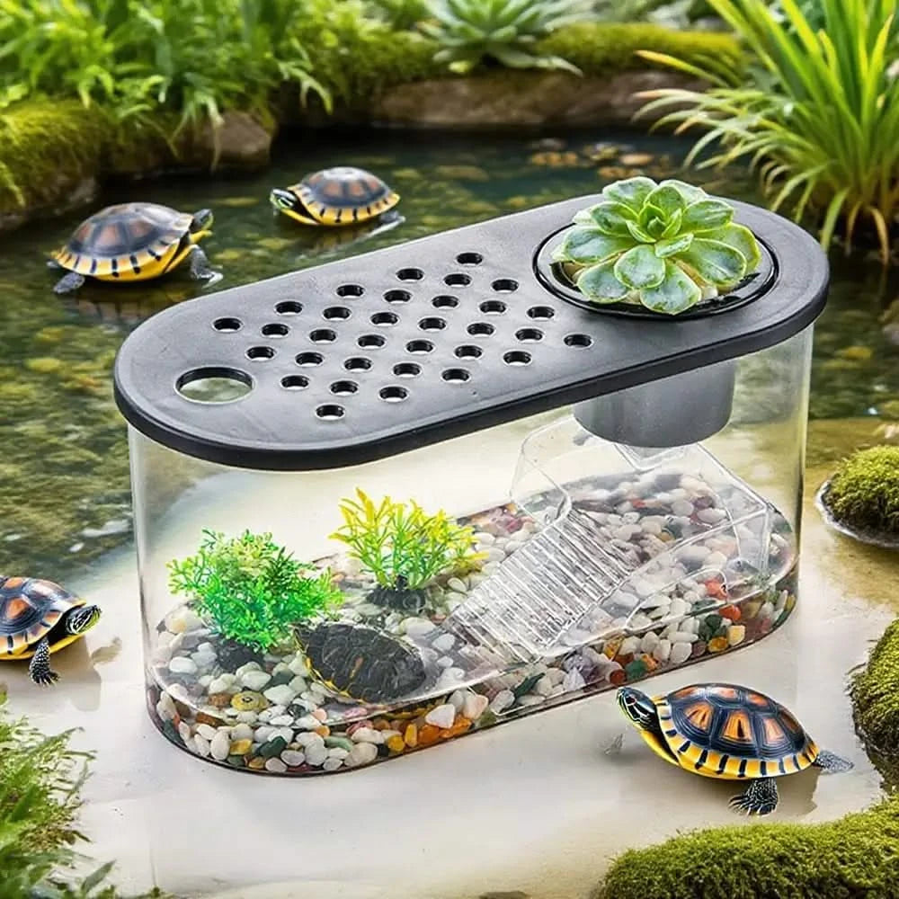 Complete Small Turtle Tank Kit: Reptile Aquarium, Basking Platform, Decor, Grass