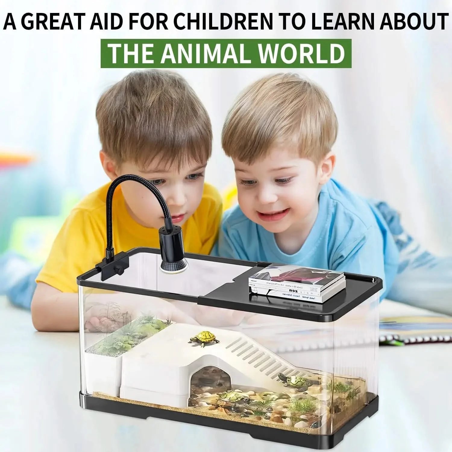 Complete Acrylic Turtle Tank Kit with Light, Filter, Drainage, Multi-Zone Habitat