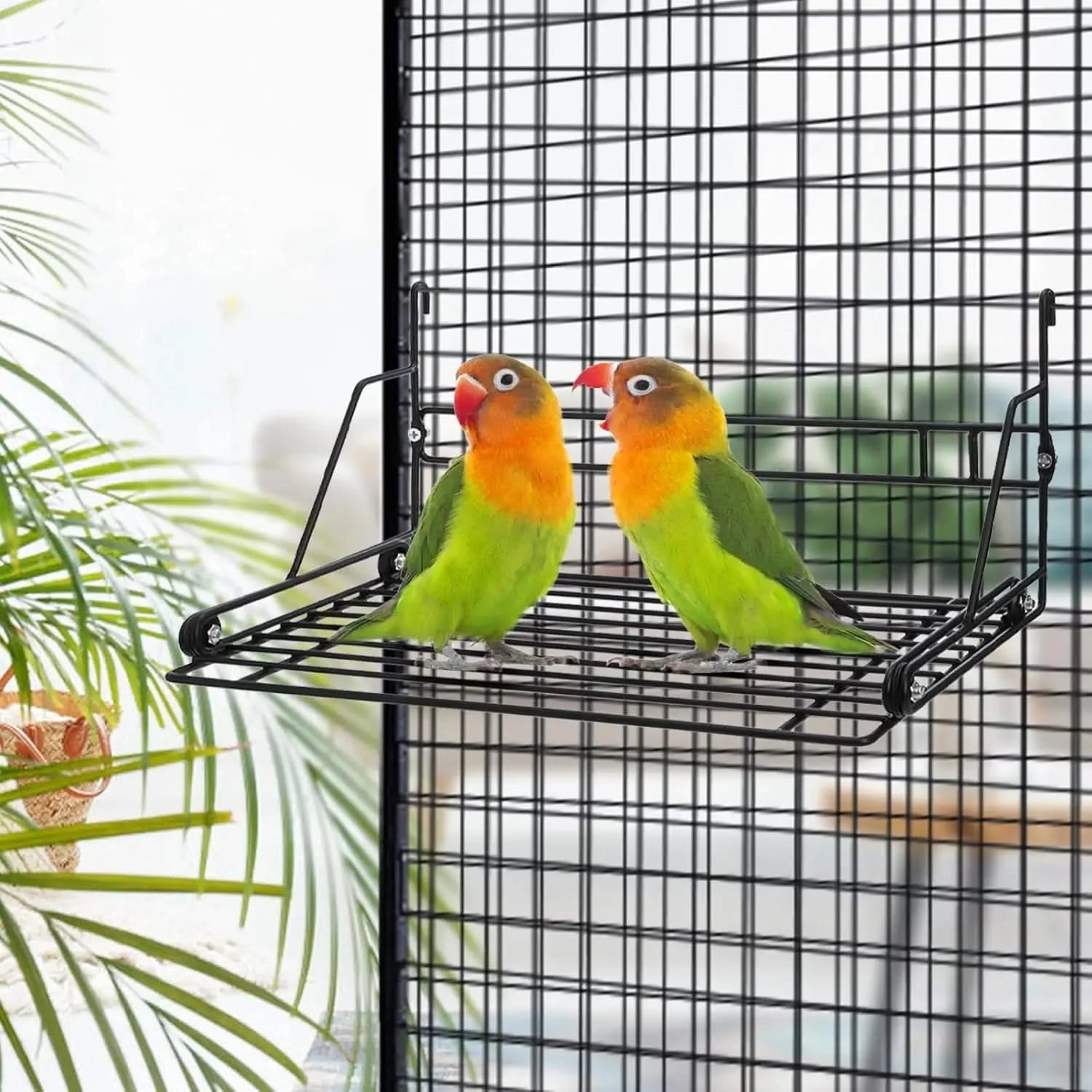 Okllen Durable Steel Bird Perch Stand Platform – Spacious Sundeck for Parrots & Small Birds