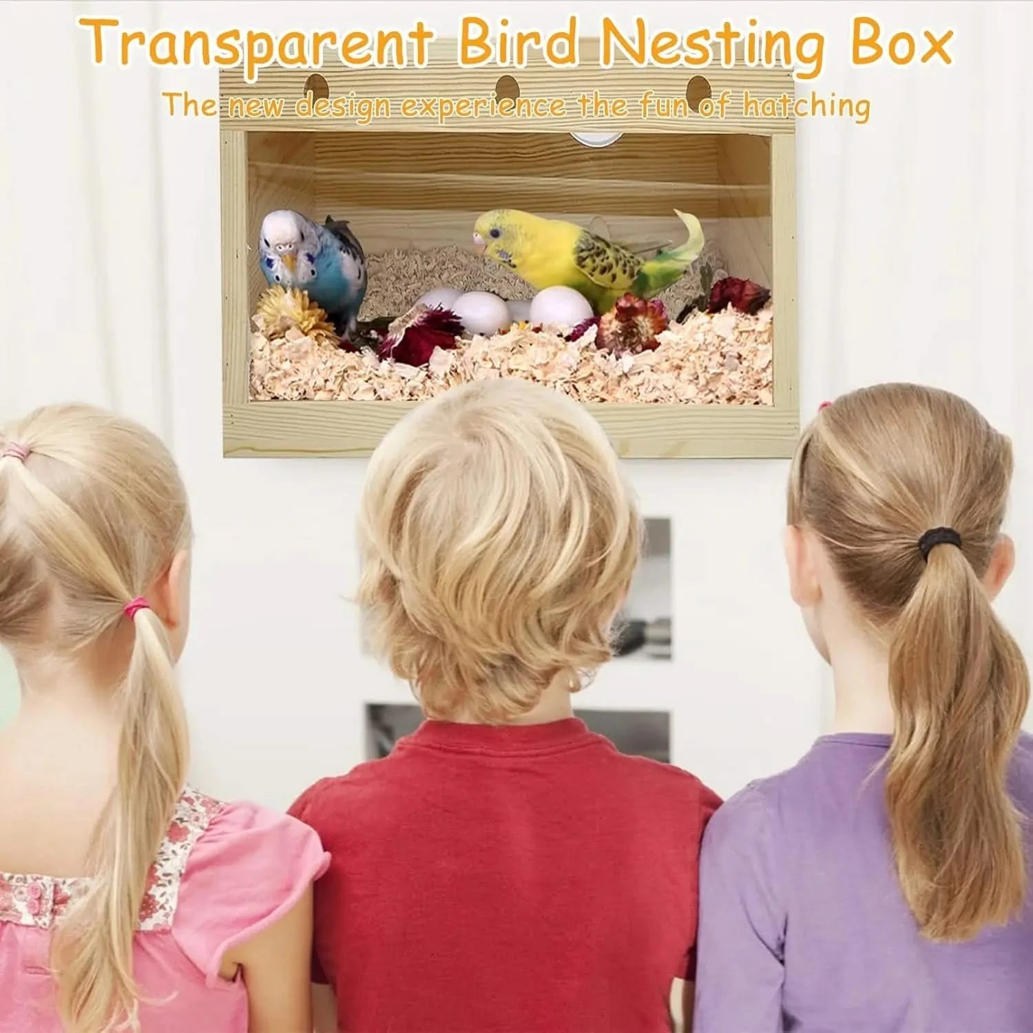 PINVNBY Natural Wood Panoramic Bird Nesting Box for Parakeets, Budgies, Cockatiels