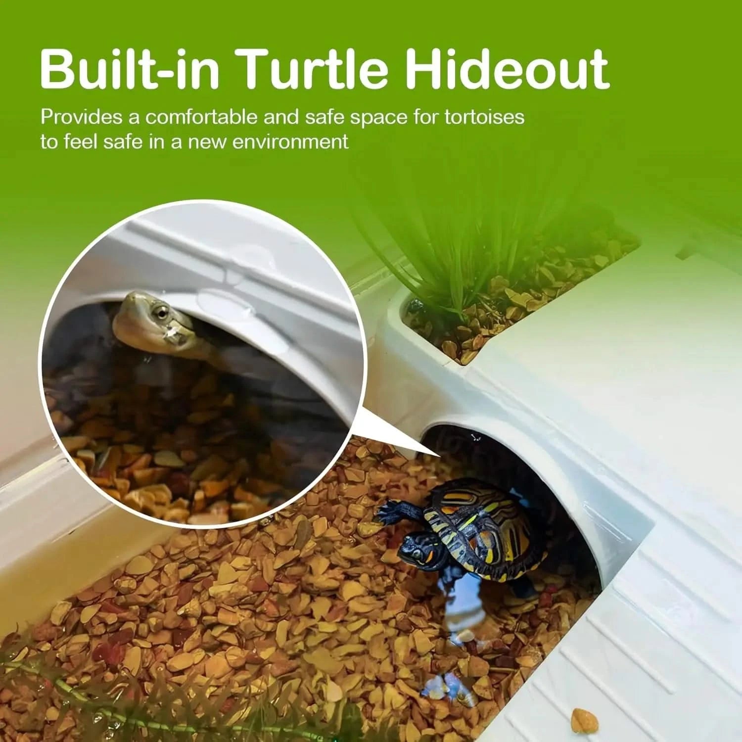 Clioran Turtle Tank Habitat Kit with Filter, 6.5 Gallon Rectangular