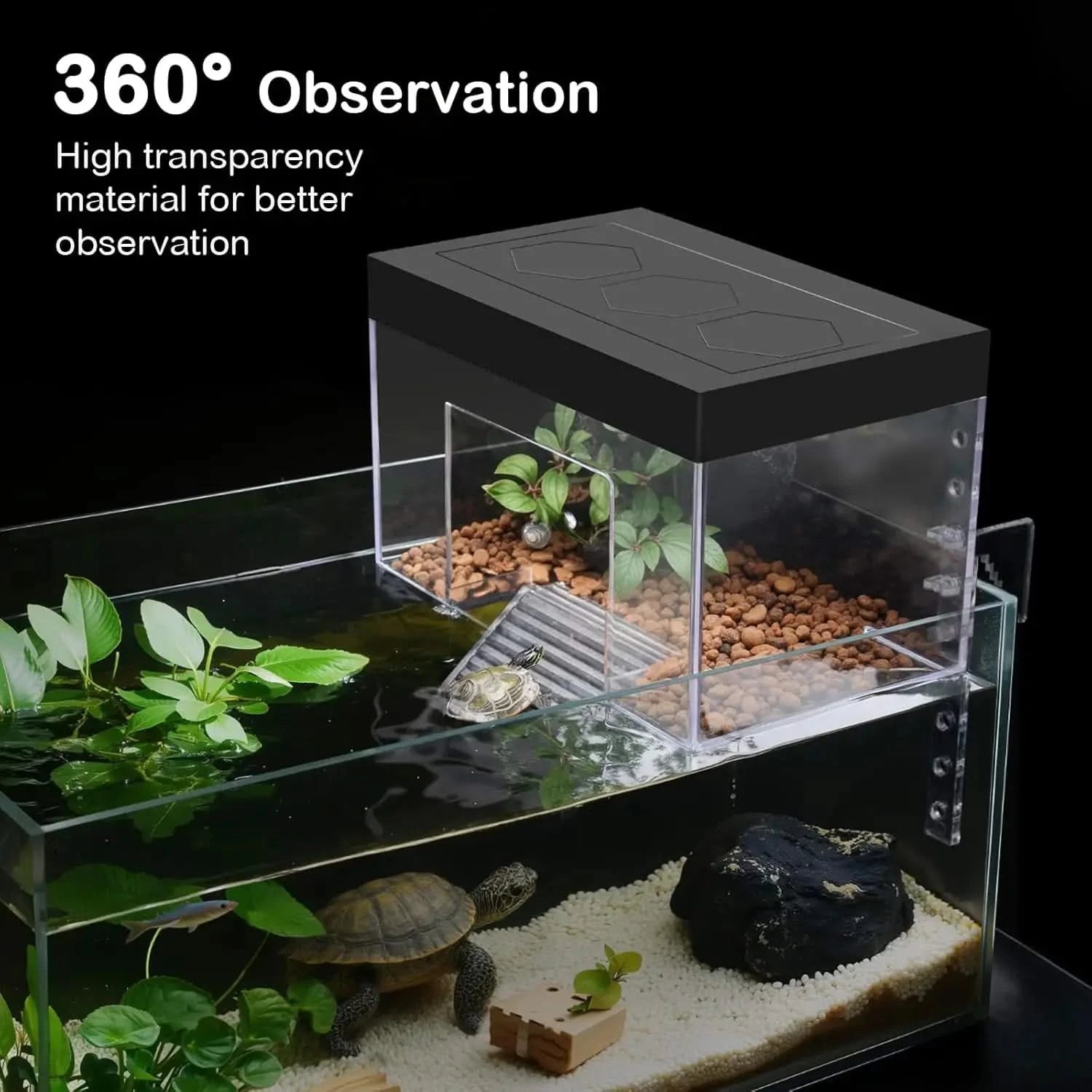 Clioran Durable Hanging Turtle Basking Platform: Elevated Habitat Topper for Small Aquatic Reptiles