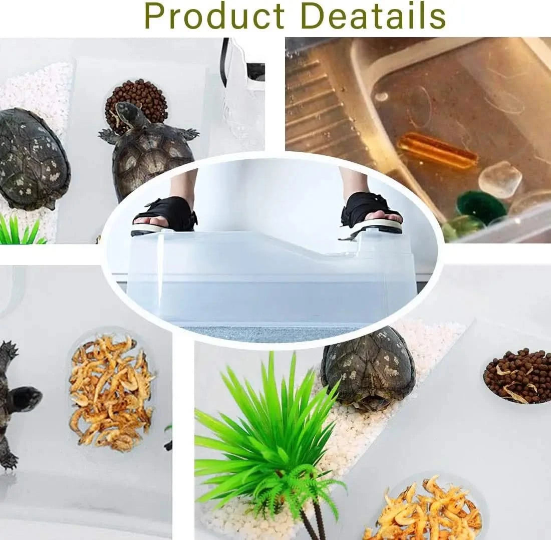 PINVNBY Durable Plastic Turtle Tank Reptile Habitat Aquarium with Basking Platform