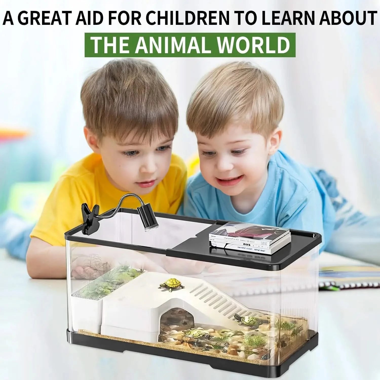 Complete Acrylic Turtle Tank Kit: Light, Filter, Drainage, Multi-Zone Habitat