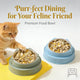 Non-Slip Stainless Steel Cat Bowl - Premium Feeder, Green & Blue