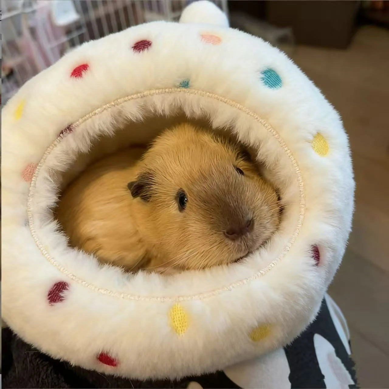Comfort Rest Hamster Nest for Hamsters - Polka Dot Plush White Multi-Color