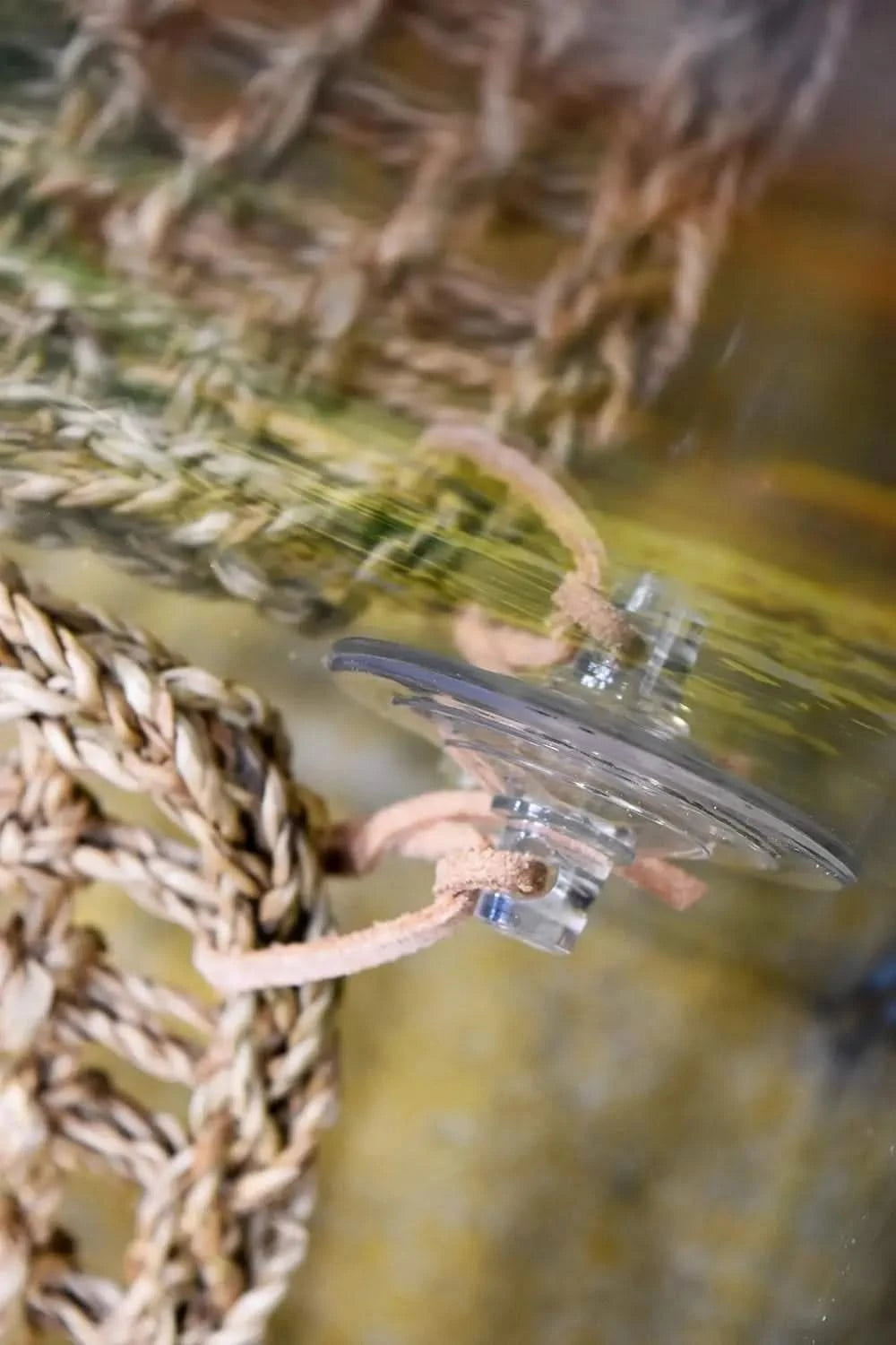 Large Penn-Plax Reptology Natural Seagrass Lizard Lounger Corner Triangle with Ladder