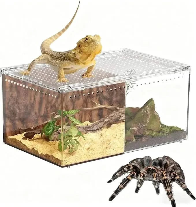 Clear Acrylic Ventilated Reptile Terrarium Starter Kit for Lizards & Invertebrates
