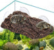 ZENFUN Turtle Basking Platform: Aquarium Tortoise Climbing Ramp, Strong Suction Cups