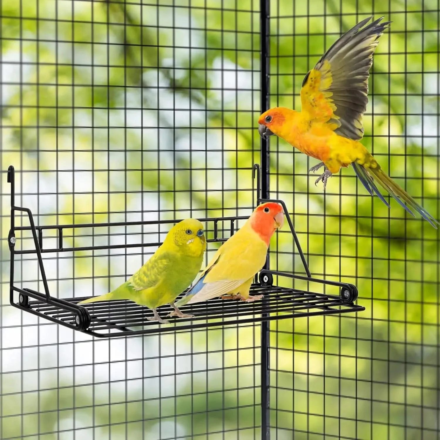Okllen Durable Steel Bird Perch Stand Platform – Spacious Sundeck for Parrots & Small Birds