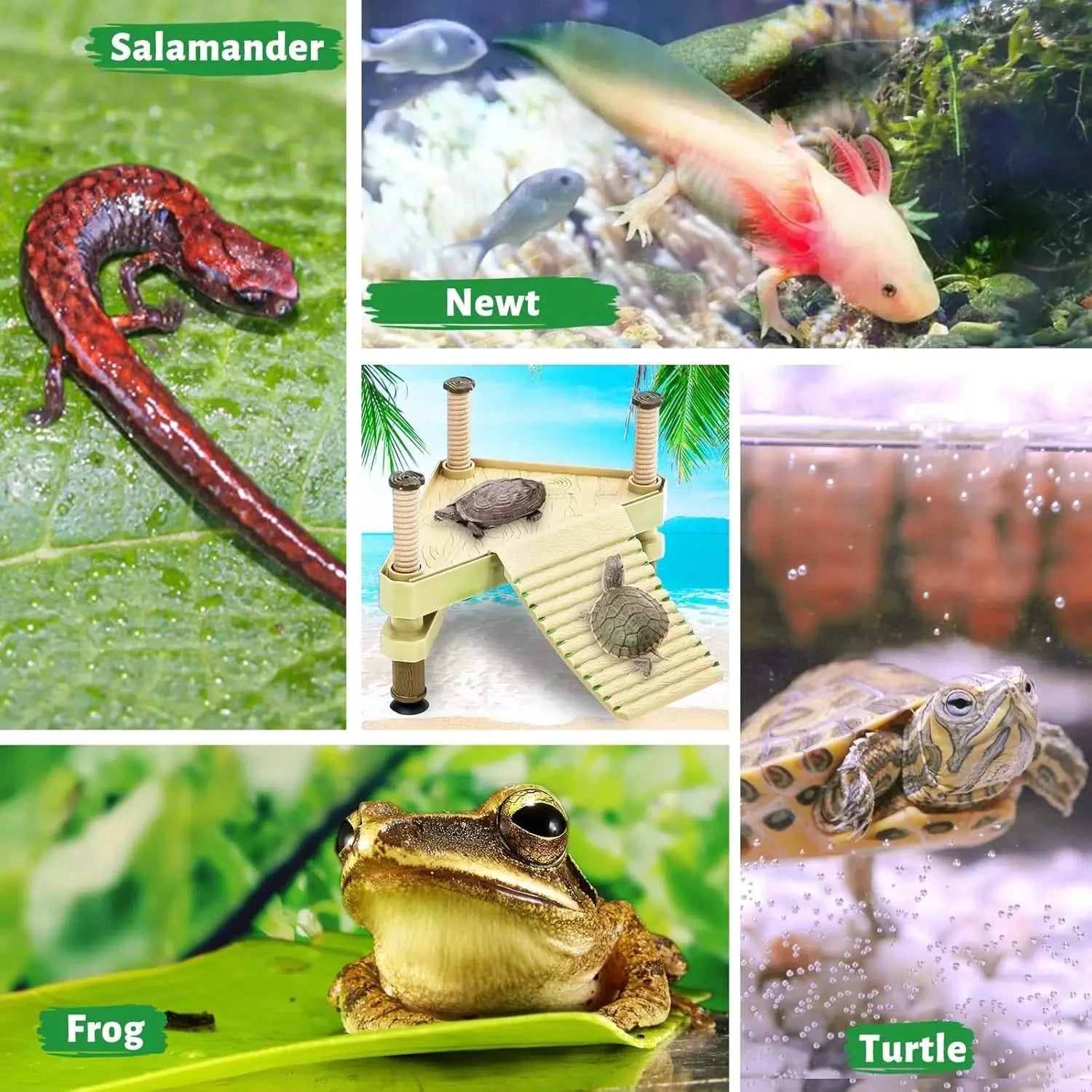 Keedolla Small Floating Turtle Basking Pier with Ramp for Aquarium