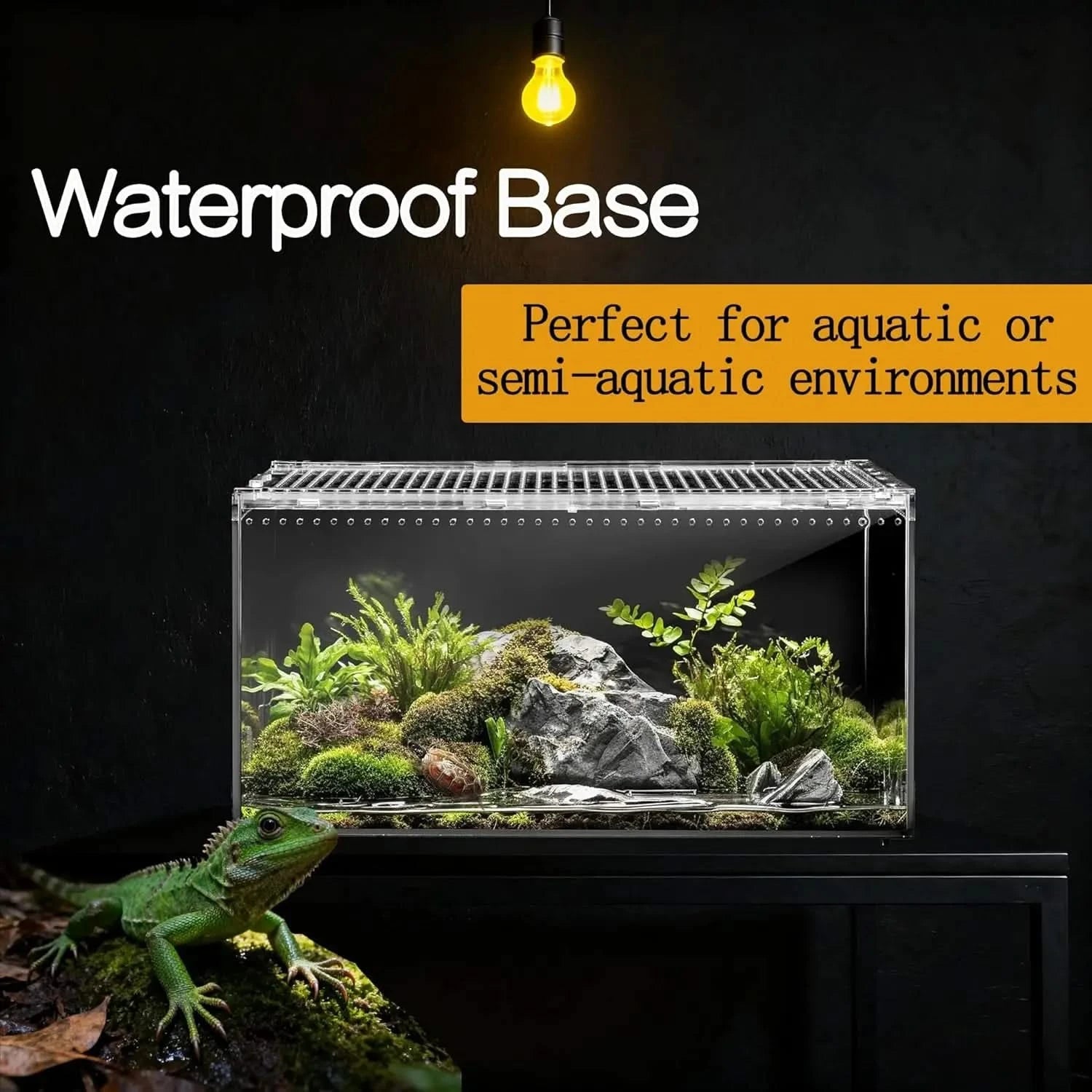 Clear Acrylic Ventilated Reptile Terrarium Starter Kit for Lizards & Invertebrates