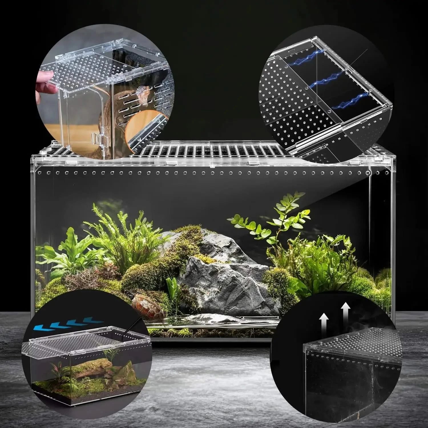 Clear Acrylic Ventilated Reptile Terrarium Starter Kit for Lizards & Invertebrates