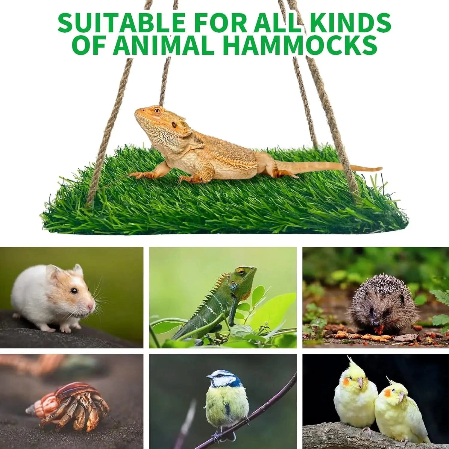 FlidRunest Large Green Soft Hammock for Bearded Dragons, Lizards & Reptiles