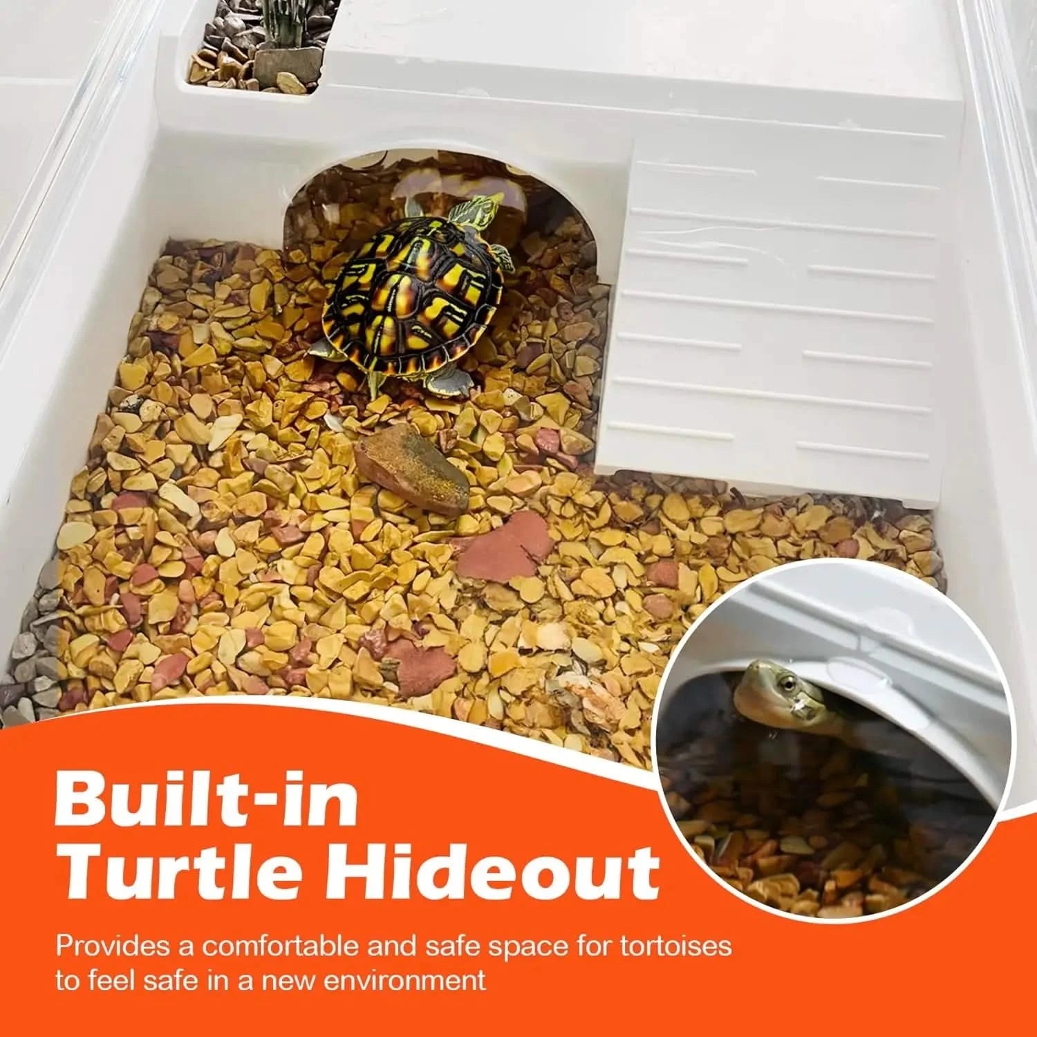 AZV Complete Turtle Habitat Starter Kit: Filter, Basking, Hideout, Drain, Lamps