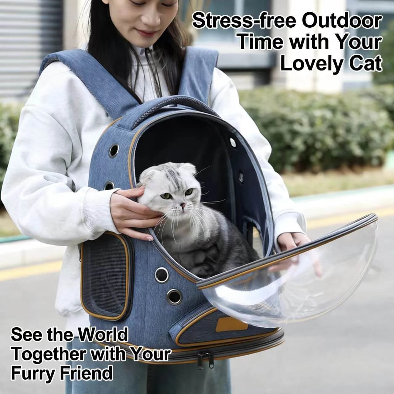 Travel Pet Backpack Carrier - Airy Vents, Clear View, Blue & Brown