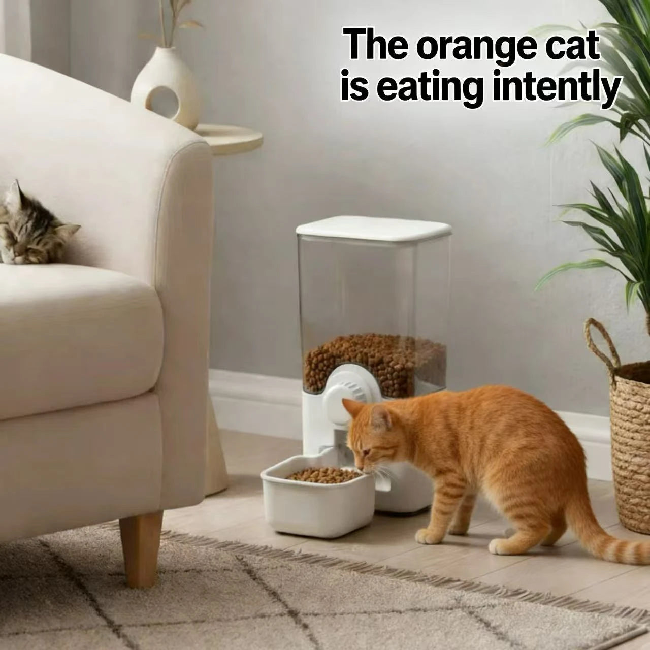 Automatic Food-Dispensing Cat Feeder - Transparent Storage White Food Bowl