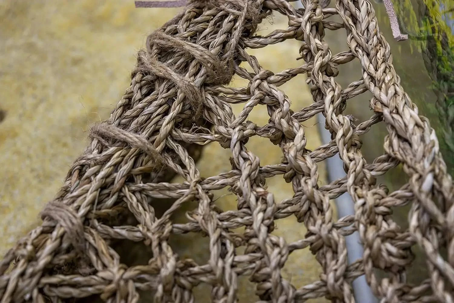 Large Penn-Plax Reptology Natural Seagrass Lizard Lounger Corner Triangle with Ladder