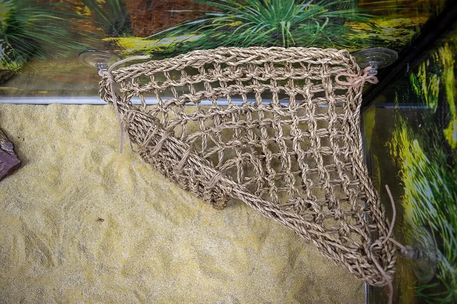Large Penn-Plax Reptology Natural Seagrass Lizard Lounger Corner Triangle with Ladder