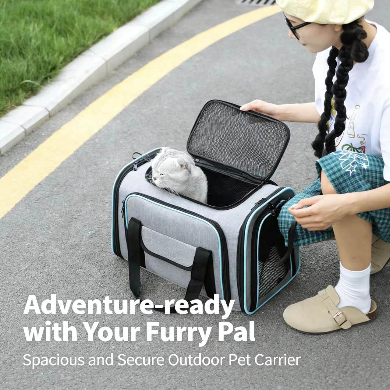 Spacious Pet Carrier Tote - Ventilated Mesh, Expandable, Gray & Blue