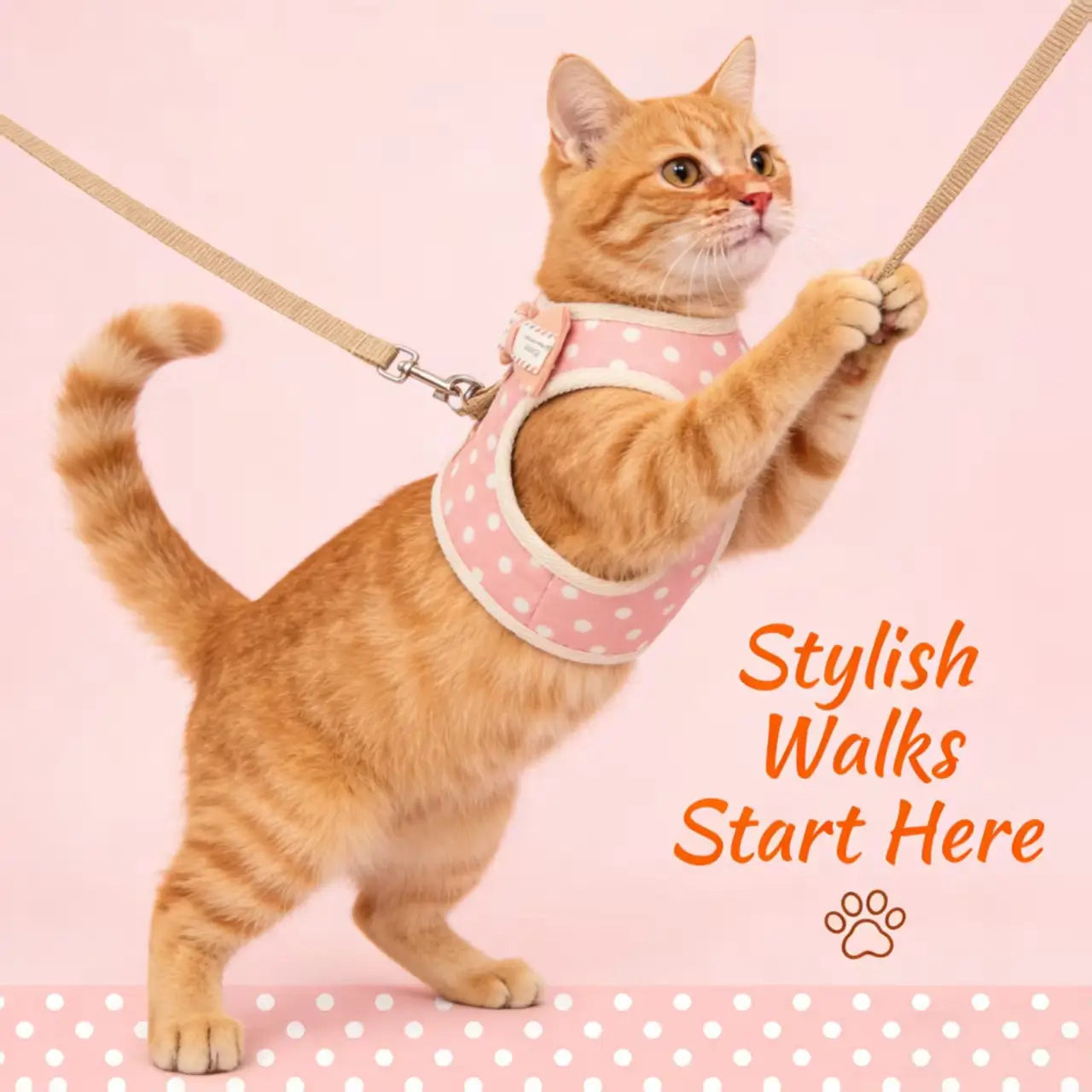 Escape-Proof Cat Harness & Leash: Polka Dot Print & Bow Accent