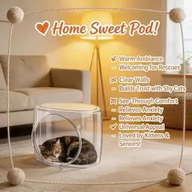 Transparent Cat Bed: Cozy Rest, Clear Design, Modern Style (Acrylic)