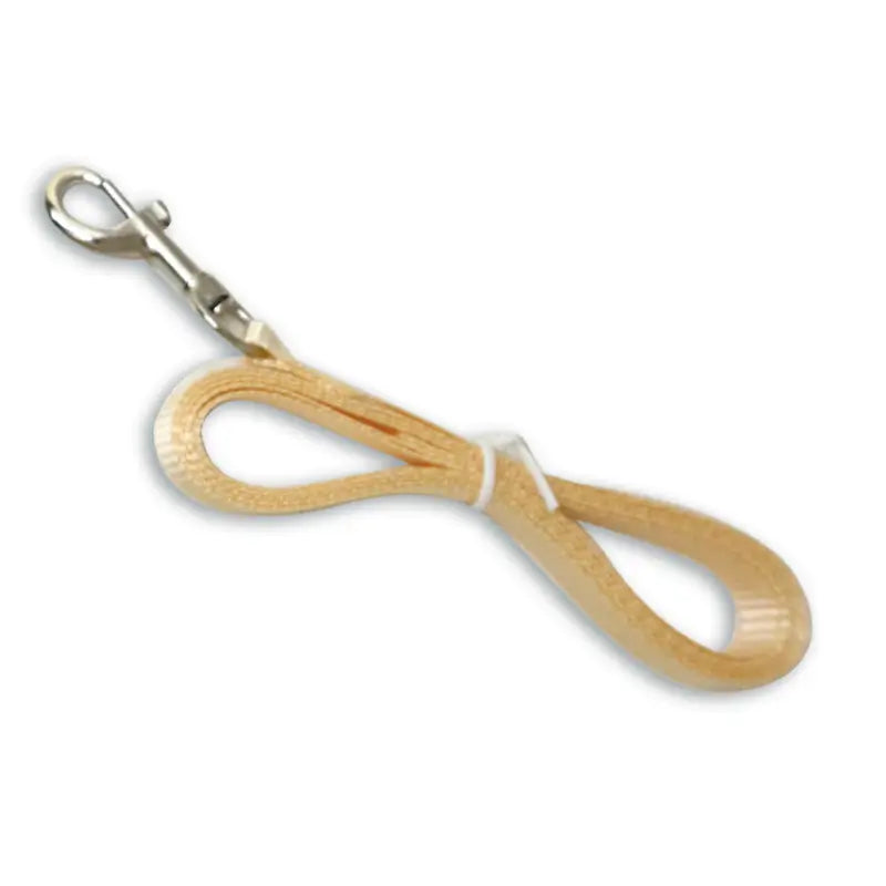 Durable Pet Leash: Lightweight Nylon, Metal Clasp (Beige)