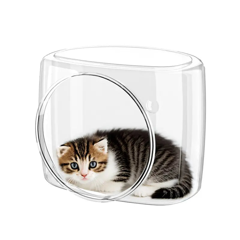 Transparent Cat Bed: Cozy Rest, Clear Design, Modern Style (Acrylic)