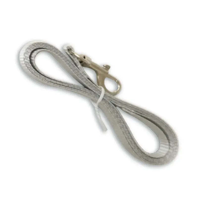 Durable Pet Leash: Lightweight Nylon, Metal Clasp (Beige)