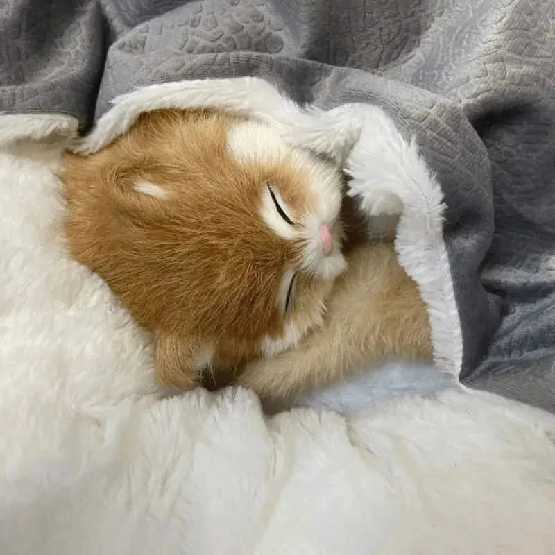 Breathable Orthopedic Pet Bed: Warm Winter Mat Cushion for Dogs & Cats