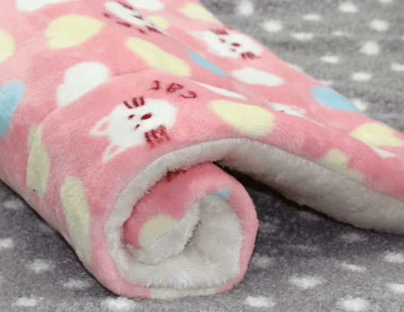 Amakunft 2-Pack Cozy Washable Fleece Pet Bed Mats for Small Animals