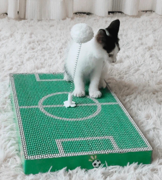 Soccer Field Cat Scratcher, Green, Cardboard, Pom-Pom Toy, Claw Care for Cats