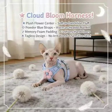 2-in-1 Escape-Proof Cat Harness & Leash: Breathable Mesh, Floral Accent (Light Blue)