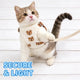 Escape-Proof Cat Harness: Sherpa Lined, Adjustable Design